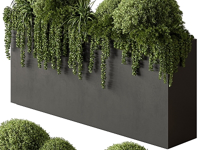 Plant wall model