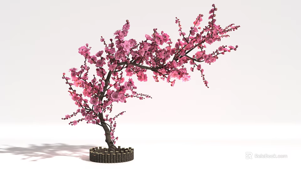 Ideal Photo Taking Spot Featuring Pink Blossom Tree With Styled Trunk And Base 3d model 