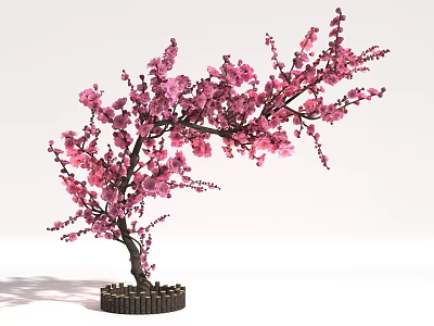 Ideal Photo Taking Spot Featuring Pink Blossom Tree With Styled Trunk And Base 3d model