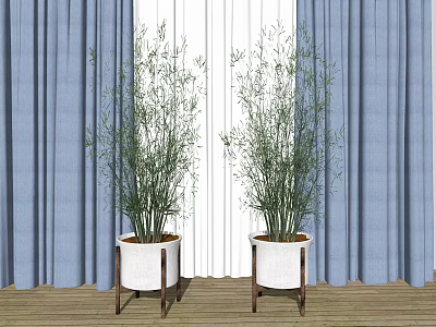 Indoor Bonsai Plants In White Pots With Wooden Stands By Blue Curtains 3d model