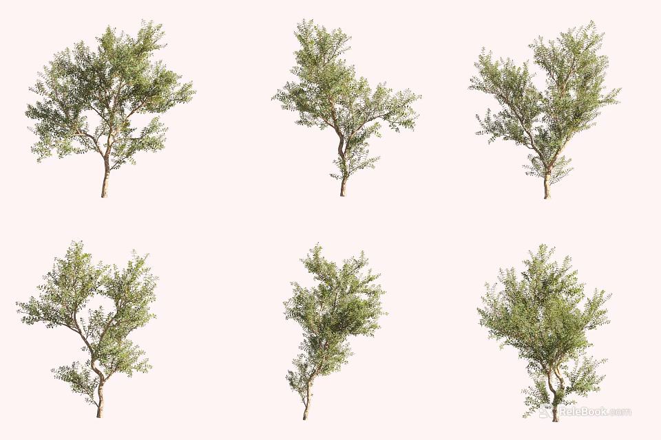 Six Lush Green Leafy Trees With Varied Branch Shapes For Landscape Design Projects 3d model 