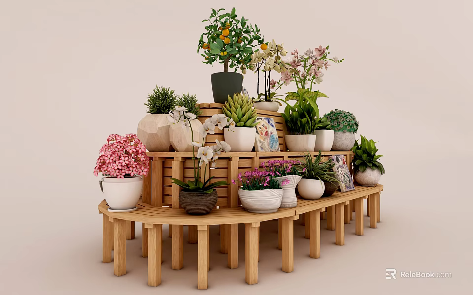Bonsai Potted Plants Display on Wooden Multi Tiered Stand with Various Greenery and Colorful Flowers 3d model 