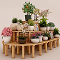 Bonsai Potted Plants Display on Wooden Multi Tiered Stand with Various Greenery and Colorful Flowers