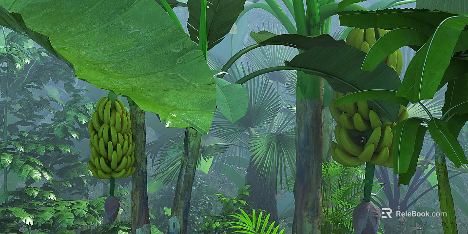 Tropical Trees in Lush Rainforest With Banana Bunches and Sunlit Green Leaves 3d model 