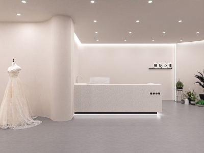 Modern Bridal Shop 3d model