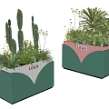Green Planters With Pink Stripes White Logo Holding Decorative Potted Plants Cacti Greenery Yellow Flowers