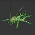 Striped Reptile with Elongated Appendages on Black Background Detailed View