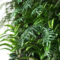 Living Plant Wall With Lush Green Foliage And Various Leaf Types For Indoor Decor