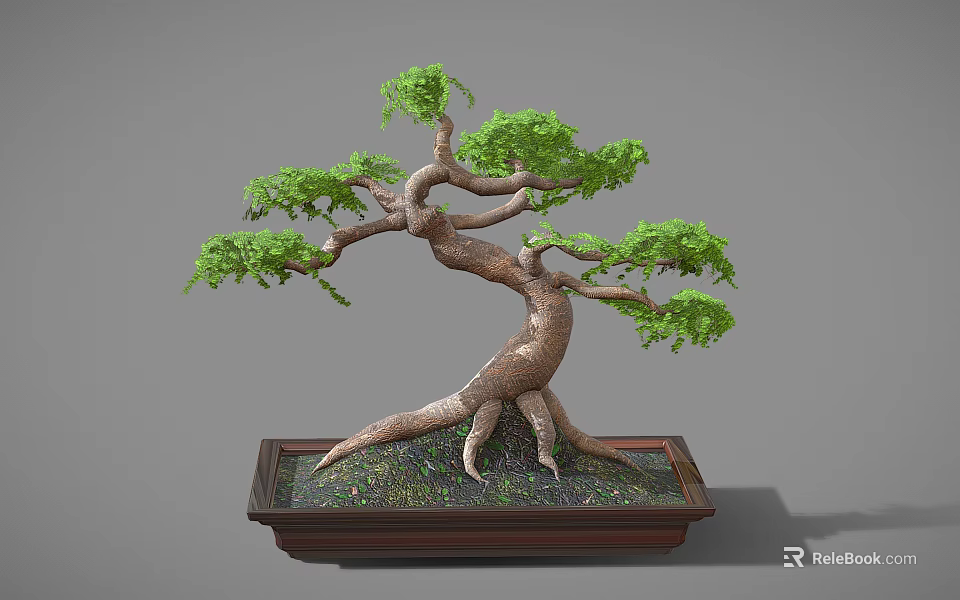 Bonsai Tree With Twisted Trunk Spreading Branches And Green Foliage In Wooden Rectangular Pot 3d model 