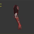 User With Biological Limb Using Modern Black Red Mechanical Prosthetic Structure 3d model