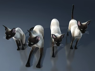 Modern Pet Cabinet Design With Four White And Brown Siamese Cats 3d model