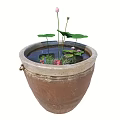 Terracotta Container Water Garden With Pink Water Lily And Lily Pads