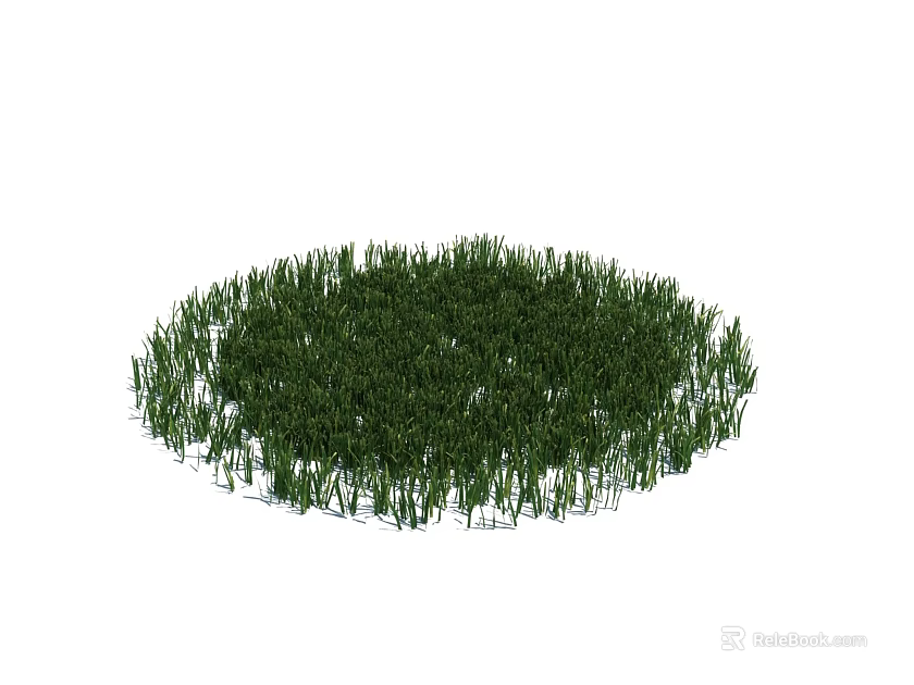 Lush Green Circular Grass Patch With Dense Natural Foliage On White Background 3d model 