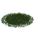 Lush Green Circular Grass Patch With Dense Natural Foliage On White Background