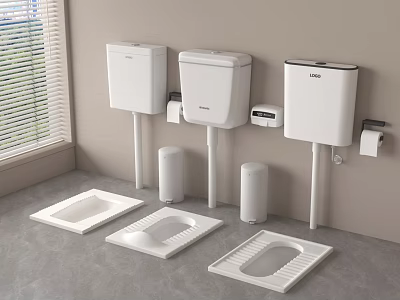 Modern Bathroom Interior With Wall Mounted Toilet Cisterns And Squat Toilets 3d model