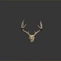 Natural Deer Skull With Large Antlers Displayed On Dark Background 3d model