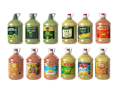 Various Types of Cooking Oil Bottles in Large Containers with Brand Labels 3d model