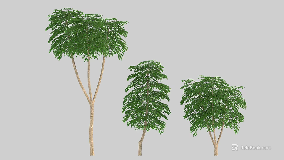Three Arbor Trees With Varied Heights Green Leaves And Brown Trunks 3d model 