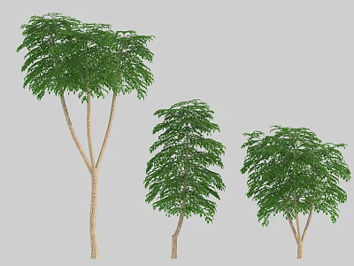 Three Arbor Trees With Varied Heights Green Leaves And Brown Trunks 3d model