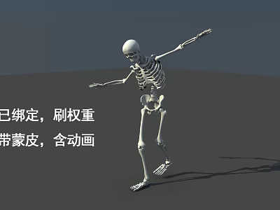 Skeleton 2014 3d model