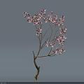 Beautiful Tree With Pink Flowers And Yellow Trunk On Light Blue Background
