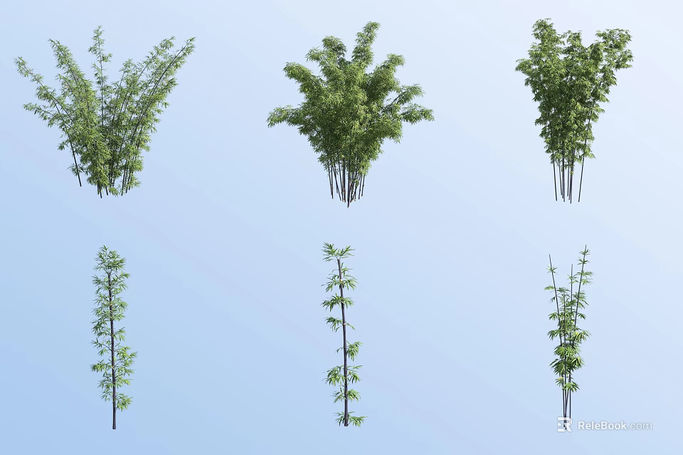 Six Various Forms of Bamboo Plants Against Light Blue Background 3d model 