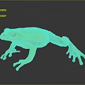 Vibrant Yellow Frog With White Spots And Pink Legs On Dark Background With Reflection