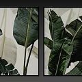 Modern Green Leaf Plant Paintings With Golden Frame For Home Wall Decor