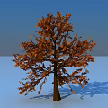 Arbor With Orange Leaves Standing Tall On Light Ground Under Blue Sky