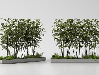 Modern Bamboo Flower Pond Landscape Bamboo Green Bamboo Luohan Bamboo Garden Bamboo 3d model