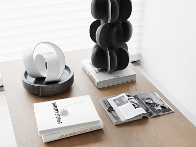 Modern Indoor Inflatable Decorative Models With Black White Design And Books On Wooden Table 3d model