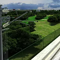Electrical Power Transmission Utility Pole With Insulators Pulleys Green Landscape And Near Buildings