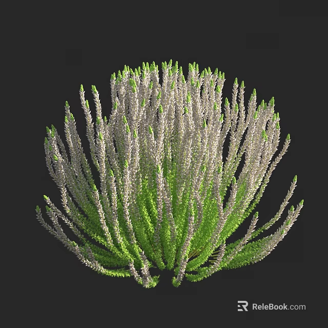 Bonsai Potted Plant With Unique Green Foliage And Slender Stems For Indoor Decor 3d model 