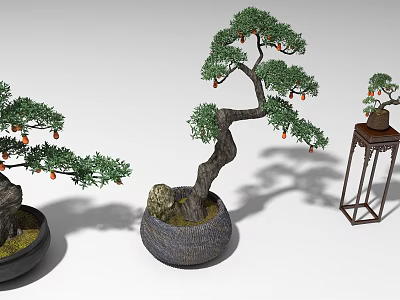 Artistic Bonsai Pine Trees as Garden Decor With Stone Pots and Pedestal Stand 3d model