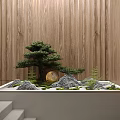 Indoor Miniature Garden Display With Bonsai Tree Rocks Moss Round Decoration And Wooden Wall Background