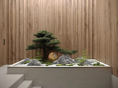 Indoor Miniature Garden Display With Bonsai Tree Rocks Moss Round Decoration And Wooden Wall Background 3d model