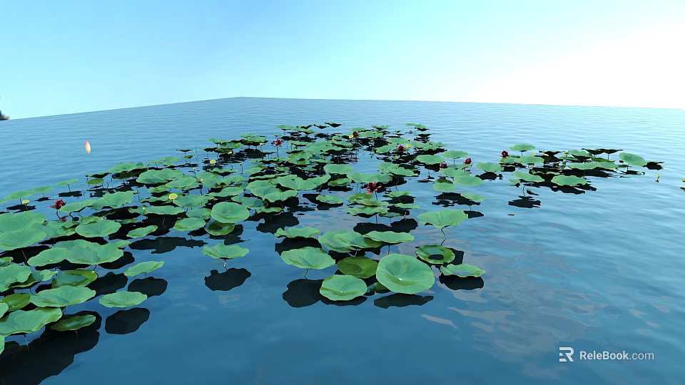 Vibrant Red Flowers And Green Lotus Leaves Floating On Calm Water Surface 3d model 