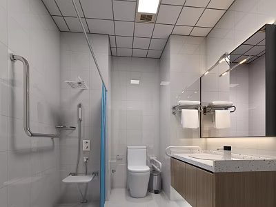 Hotel Bathroom Interior Design With Shower Toilet Vanity Mirror And White Tiles 3d model
