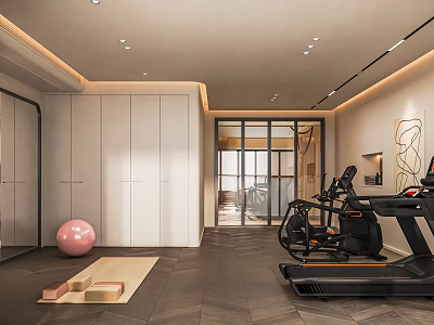 Modern Entertainment Room Interior With Treadmill Fitness Ball Yoga Mat White Cabinets And Glass Doors 3d model