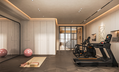 Modern Gym Home Gym Basement Video Room Sofa Treadmill Bicycle Tea Table Tea Cabinet 3d model