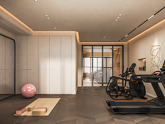 Modern Gym Home Gym Basement Video Room Sofa Treadmill Bicycle Tea Table Tea Cabinet 3d model