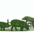 Green Shrub Topiary Sculptures Shaped as Pigs with Wooden Fence and Pine Tree