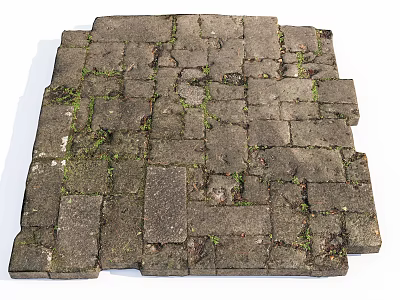 Outdoor Stone Paved Ground Featuring Weathered Bricks And Lush Green Moss 3d model