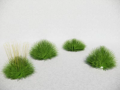 Several Lush Green Grass Clumps Growing On Light Sandy Background 3d model