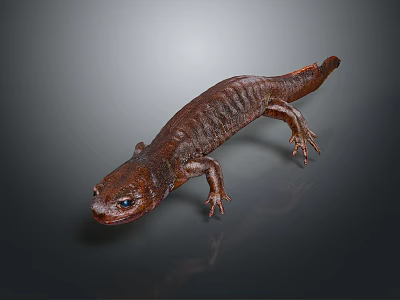 Brown Salamander With Textured Skin And Extended Limbs On Dark Background 3d model