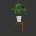 Monstera Plant with Lush Green Leaves in White Pot on Wooden Stool Against Dark Background