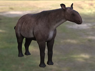 Wild Reptile Animal In Natural Grassland Habitat With Brown Skin And Strong Legs 3d model
