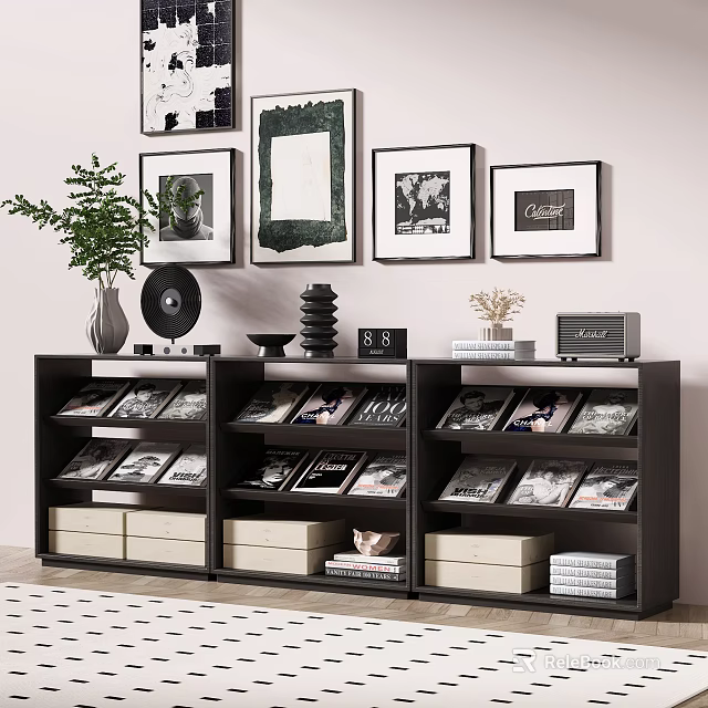 Black Display Shelves With Drawers Featuring Books Records Decorations Picture Frames Plant And Vase 3d model 