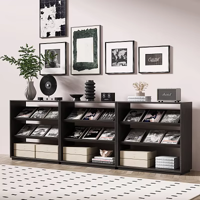 Black Display Shelves With Drawers Featuring Books Records Decorations Picture Frames Plant And Vase 3d model
