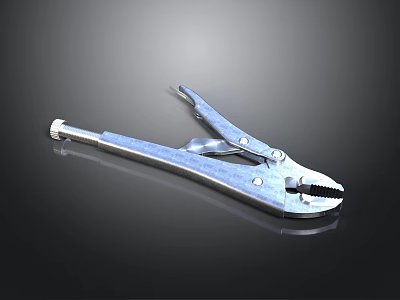 Stainless Steel Heavy Duty Locking Pliers With Adjustable Jaws And Ergonomic Handles 3d model